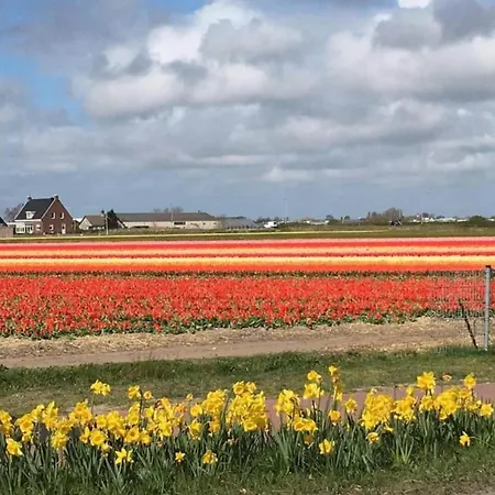 Hébergement de vacances Near On The Dutch Coast