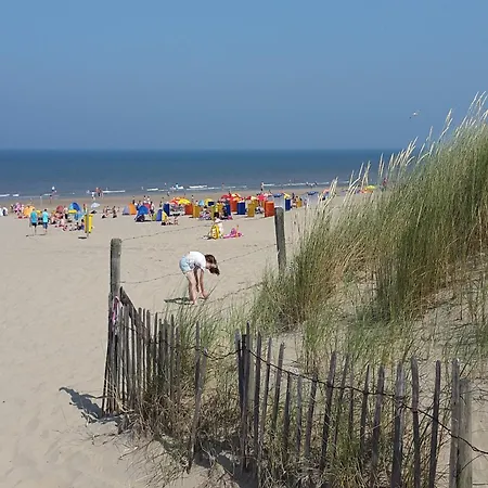 In Noordwijk Near & * Noordwijkerhout