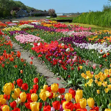 In Noordwijk Near & Casa de Férias *