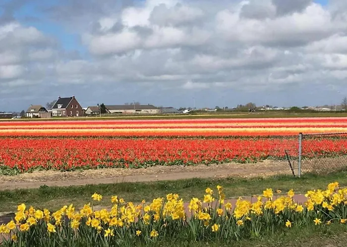 In Noordwijk Near & * נורדוויקרהוט