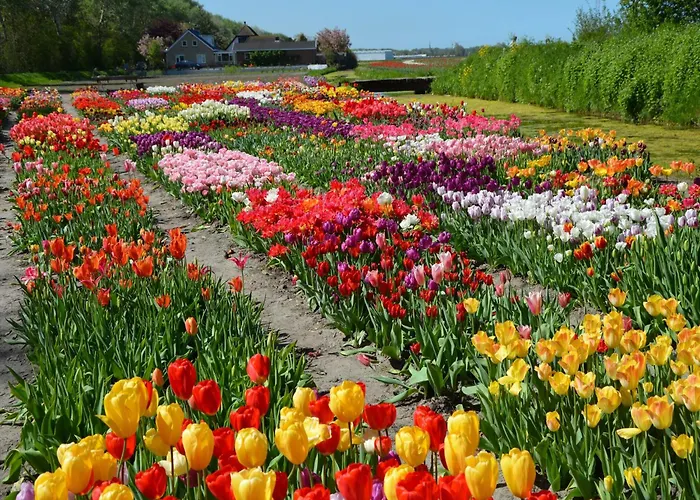 In Noordwijk Near & בית נופש *