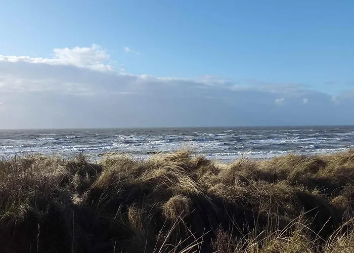 In Noordwijk Near & *