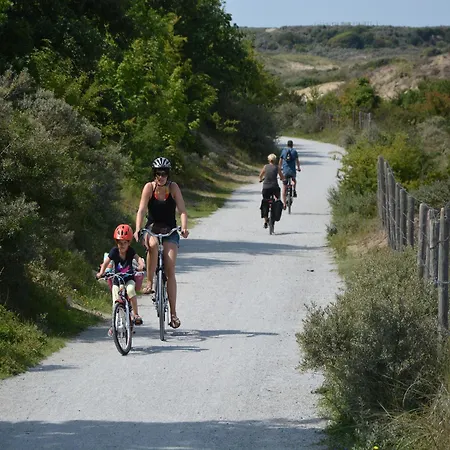 In Noordwijk Near & Hébergement de vacances *