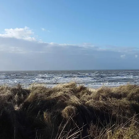 In Noordwijk Near & *