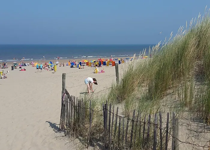 In Noordwijk Near & * ノールトウェイケルハウト　